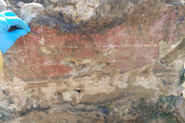 Limpieza (2)